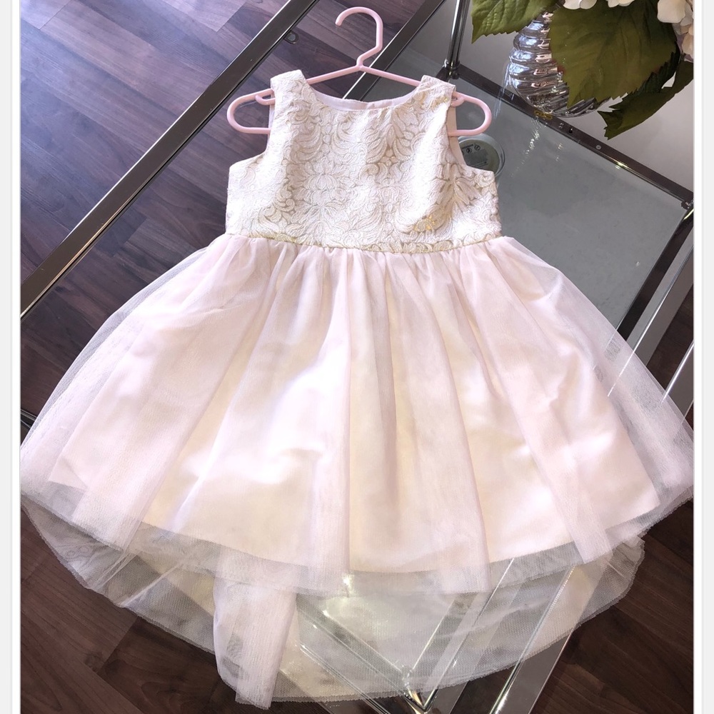 Pink and Gold Dress